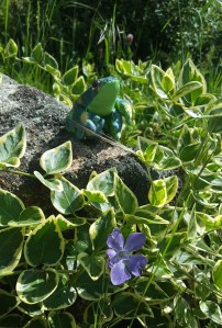 josette médit 20200505_110110