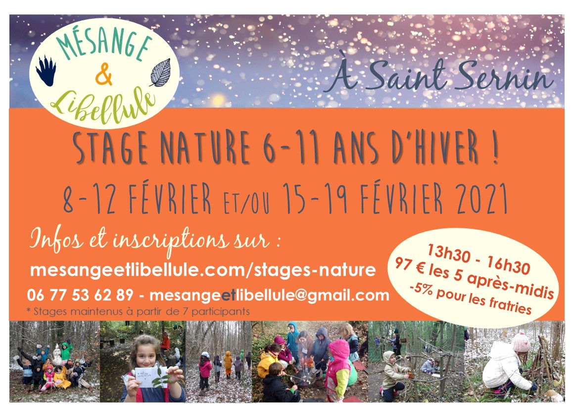 stage hiver 2021